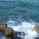 다모아펜션 이미지