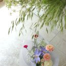 노원-공릉-3062 이미지