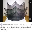 [NH콕서포터즈 3기] 발대식&amp;OT 1일차 후기