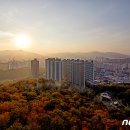 포레스타 이미지