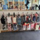 마리오펫 이미지