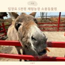 착한아빠농장 | 입장료 5천원 평택 체험농장 소풍동물원 주차, 가격, 이용방법!