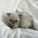 석수1동-1 이미지