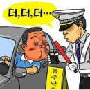 애니콜대리 이미지