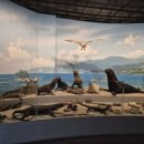 땅끝해양자연사박물관 이미지