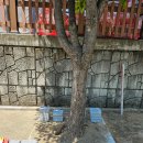 파주환경산업
