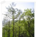 늘보 당구장 이미지