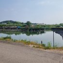 새봉낚시터 이미지