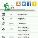 개굴개굴 Daum카페