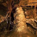 대신목장 이미지