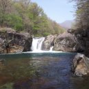 지리산화개깊은골 이미지