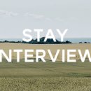 스테이인터뷰 노호 이미지