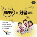 린 태권스쿨 이미지