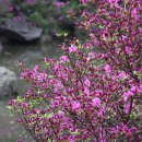 인천대공원(자전거광장) 이미지