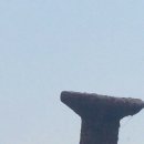 오동나무 발전소 이미지