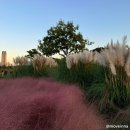 간절곶사슴농장 | 가을여행지 추천 울산 가볼만한곳 BEST5