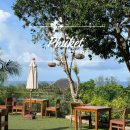 타이스푼 | 태국 푸켓 만다라바 리조트 촘 탈리 조식 및 참타이 석식 후기(+무료 바우처 사용)