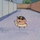 신기스포렉스 이미지