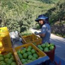 인우농장 이미지