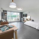 펫티움애견펜션 이미지