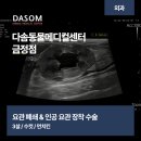 신우메디칼 | 안락동 동물병원 신장 수치 상승의 원인? SUB 수술로 건강 되찾은 3살 먼치킨 고양이 이야기