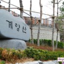 하느재농장 티스토리