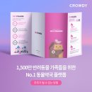 새로이약국 이미지