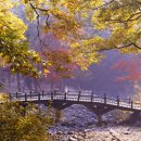 태릉입구역 3번출구 버스정류장 이미지