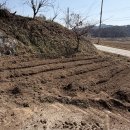 삼순이방앗간 | 2026.03