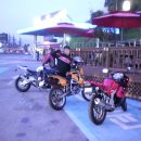 아렉스(RX) 이미지