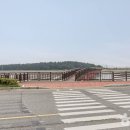 신안갯벌박물관 이미지