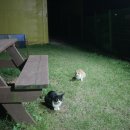 솔잎펜션 2 이미지