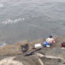 대삼부도 Daum카페