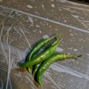 꼬모도 펜션 이미지