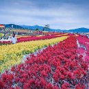 고*석 - 안양시 만안구 삼봉로 61 | 고*석