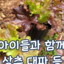 장유농약종묘사 이미지