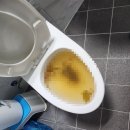 와우로119번길 이미지
