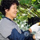 아영면 오산마을 이미지