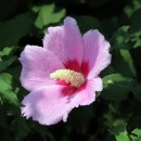 호계참한의원 이미지