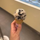 베스킨라빈스 앞 | 밴루엔 강남역점 솔직히 베스킨라빈스가 더 맛있다? 비건 아이스크림 후기