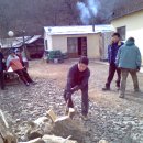 김씨농장 이미지