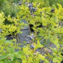 운천농장 이미지