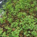 청한농장 이미지