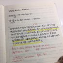 올니듀