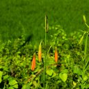 벌곡(대전) 이미지