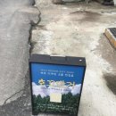 큰손흑돼지 | 제주도 여행 2일차! / 성산 유채꽃, 성산소품샵, 성산카페추천, 구좌소품샵, 함덕소품샵, 함덕해수욕장...