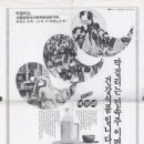 정문첫집