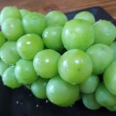 예손약국 이미지