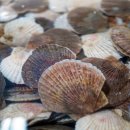 광교스크린골프장 이미지