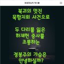 목함지뢰 사건...ㅠㅠ 이미지